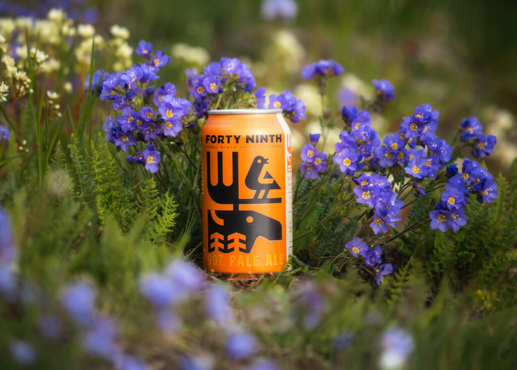 907 Pale Ale 907 Pale Ale in Alaska by 49th State Brewing