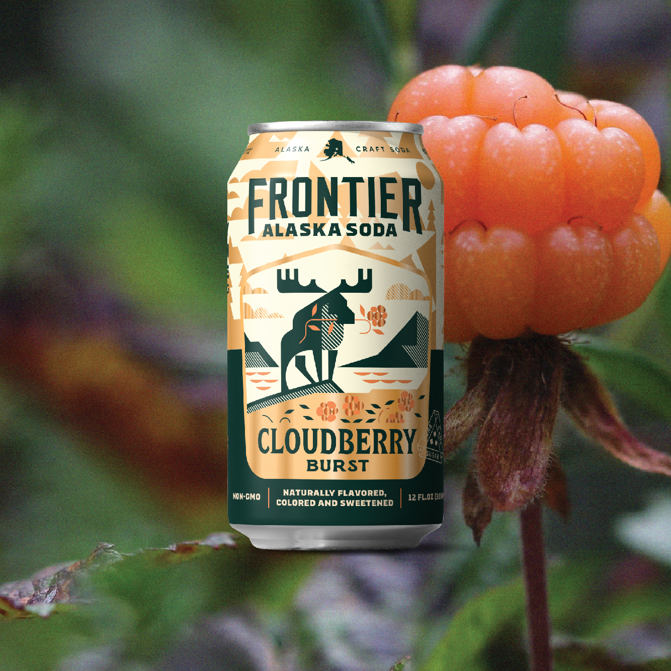 CLOUDBERRY BURSTS