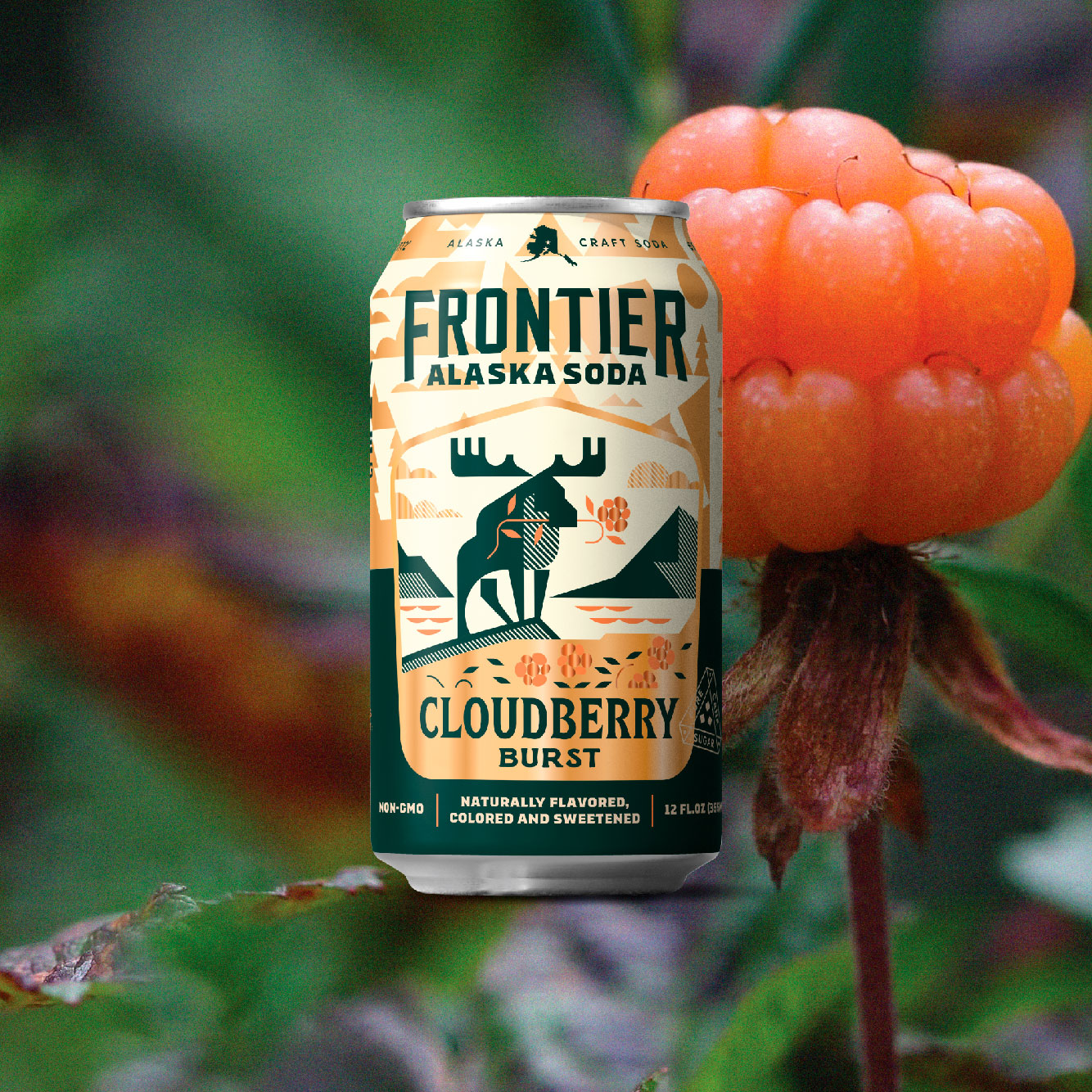 Cloudberry-Burst-